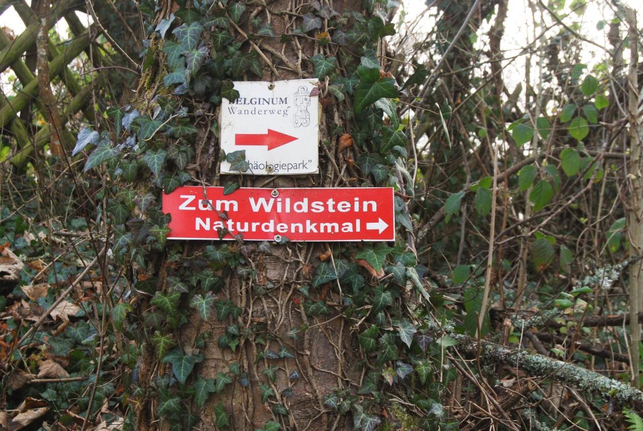 Gaestehaus An Der Moseltherme Traben-Trarbach Luaran gambar