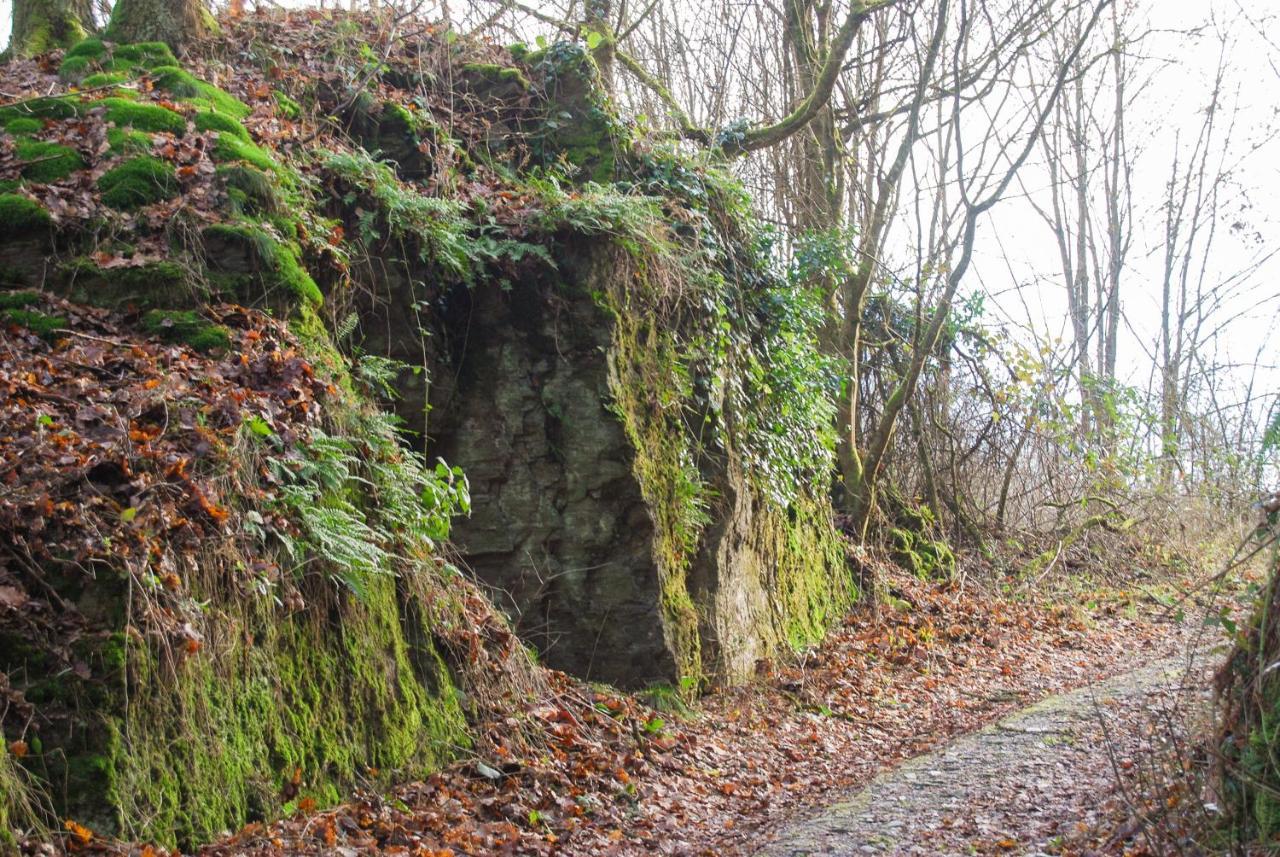 Gaestehaus An Der Moseltherme Traben-Trarbach Luaran gambar
